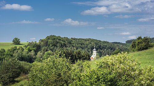 Eine rundum grüne Landschaft mit einem kleinen Kirchlein in der Bildmitte.