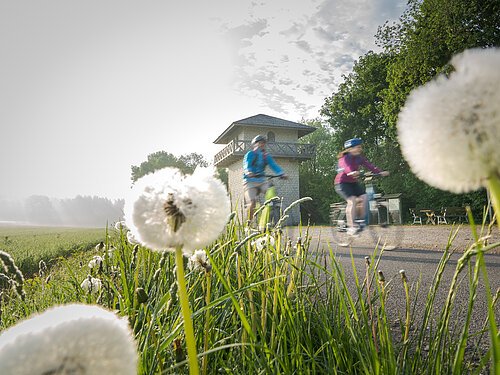 Zwei Radfahrer, eine Frau und ein Mann, fahren  den Limesturm vorbei. Beide tragen einen Fahrradhelm. Im Vordergrund sind einige Pusteblumen im Gras zu sehen. Der Himmel ist bewölkt.