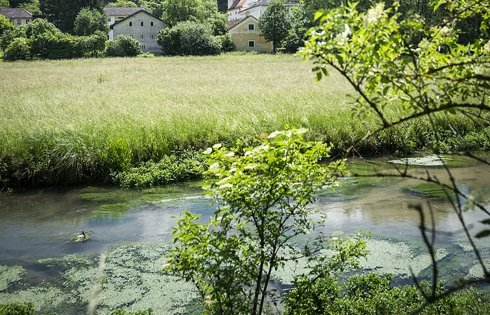 Schambachtal (bei Riedenburg)