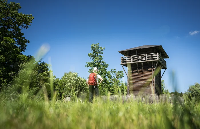 Wanderer mit rotem Rucksack steht auf Wiese vor hölzernem Aussichtsturm bei blauem Himmel