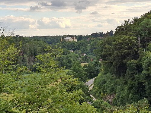 Blick auf Schloss Hexenagger Blick auf bewaldete Hügel mit einer Straße und einem Schloss Hexenagger im Hintergrund unter bewölktem Himmel.