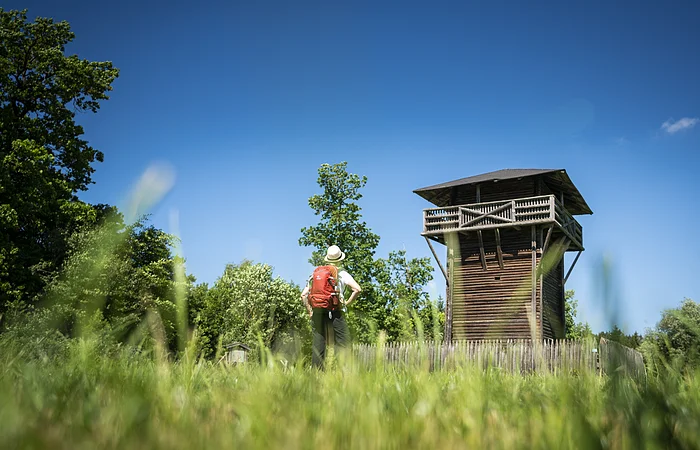 Wanderer mit rotem Rucksack steht auf Wiese vor hölzernem Aussichtsturm bei blauem Himmel